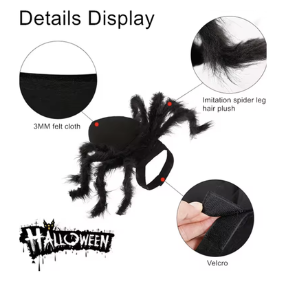 SpiderPup™ – CreepWalker Pet Costume
