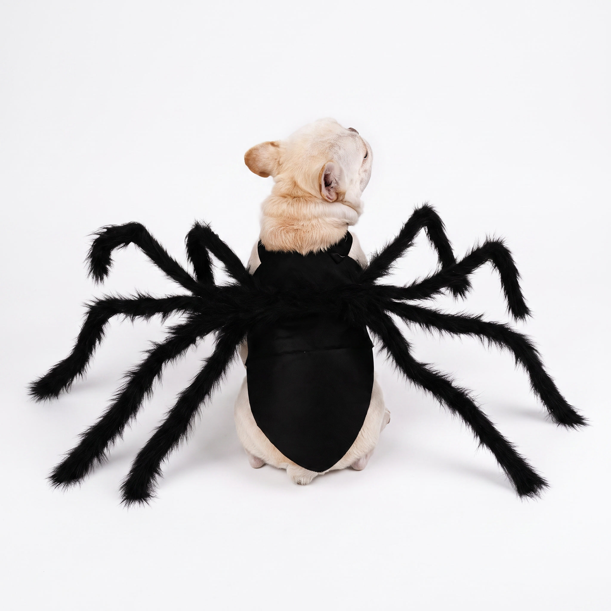 SpiderPup™ – CreepWalker Pet Costume